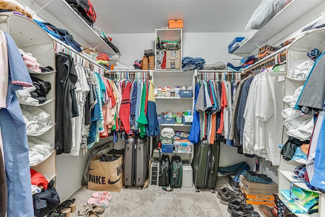 walk in closet featuring carpet flooring