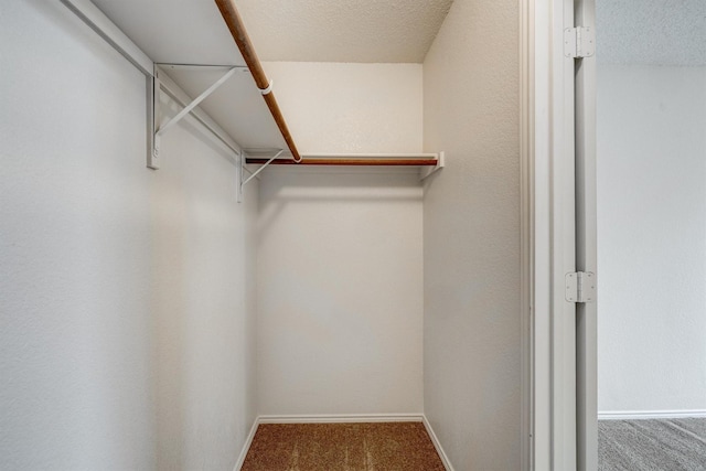 walk in closet with carpet