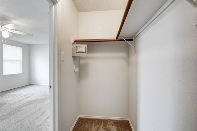 walk in closet with carpet flooring and a ceiling fan