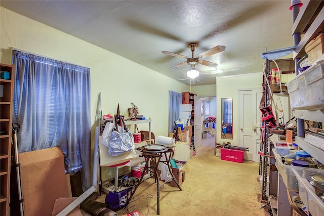 interior space with carpet floors, a ceiling fan, and a textured ceiling