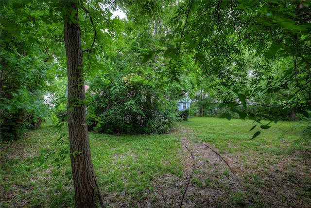 view of yard featuring a forest view