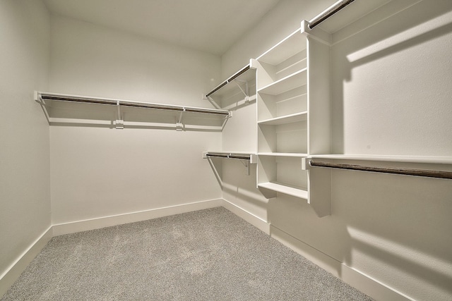 walk in closet featuring carpet floors