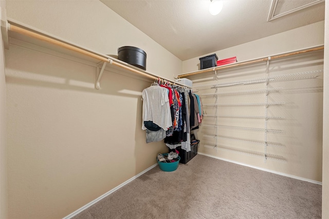 6728 Tierra Dr, Woodway, TX 76712 - walk in closet featuring carpet