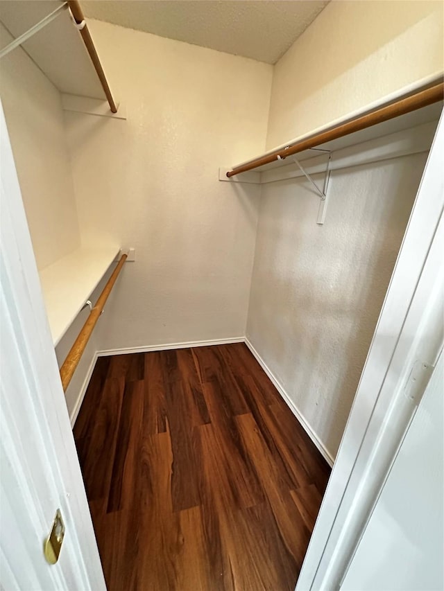spacious closet with dark wood finished floors