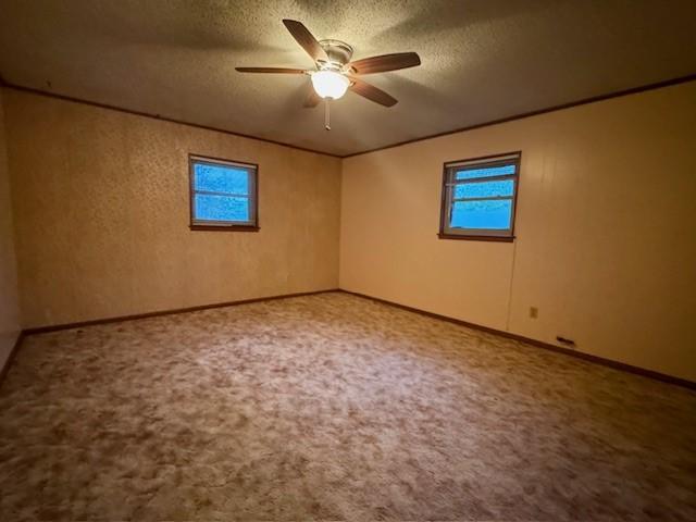 carpeted spare room featuring baseboards, a textured ceiling, ceiling fan, and a wealth of natural light