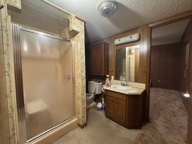 bathroom featuring vanity, a textured ceiling, toilet, and a shower stall