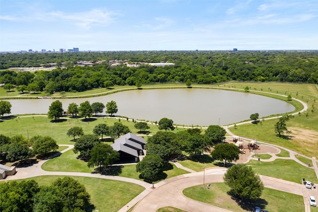 2009 Greenbriar Ln, Plano, TX 75074 - bird's eye view of a large body of water