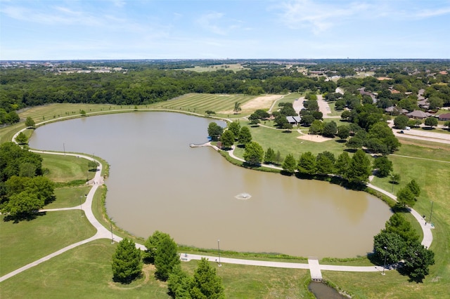 2009 Greenbriar Ln, Plano, TX 75074 - aerial view of a large body of water
