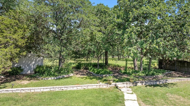6510 Circo Dr, Granbury, TX 76049 - view of yard