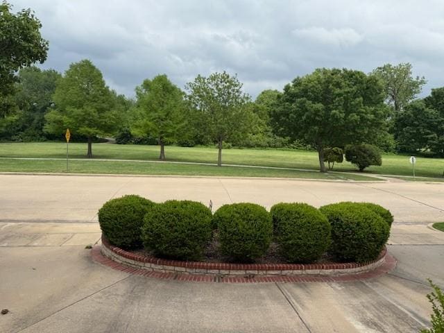 view of community with a yard