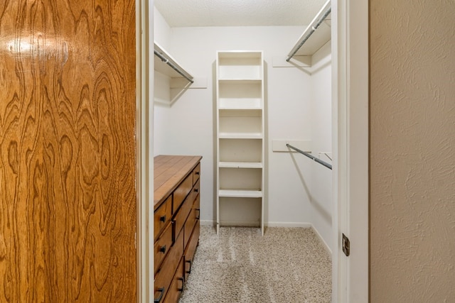 spacious closet featuring light colored carpet