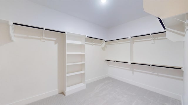 walk in closet with carpet floors