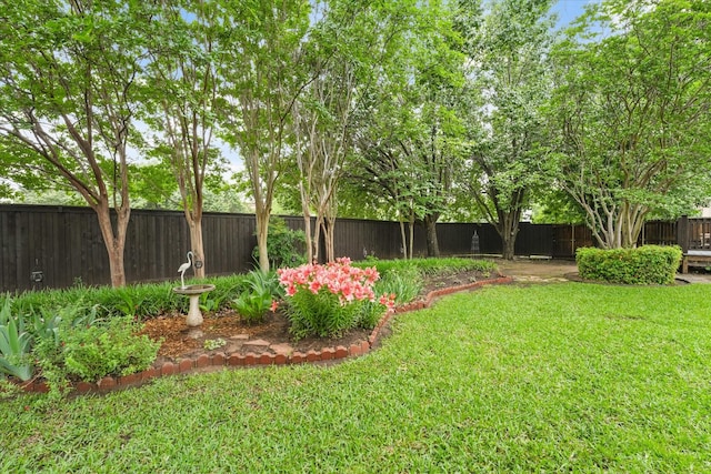 view of yard with a fenced backyard