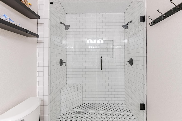 bathroom with a stall shower and toilet