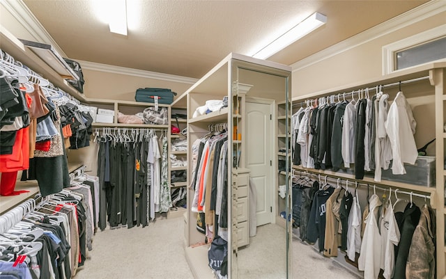 walk in closet featuring carpet flooring