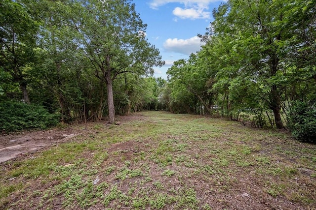 view of yard featuring a view of trees