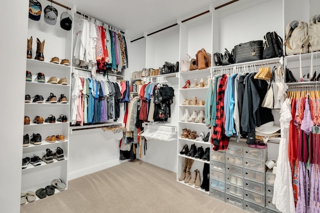 spacious closet with carpet