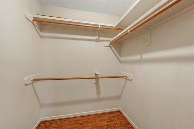 spacious closet featuring wood finished floors