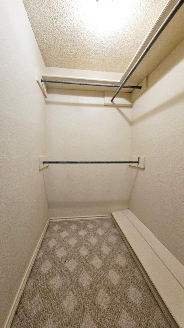 walk in closet featuring carpet flooring