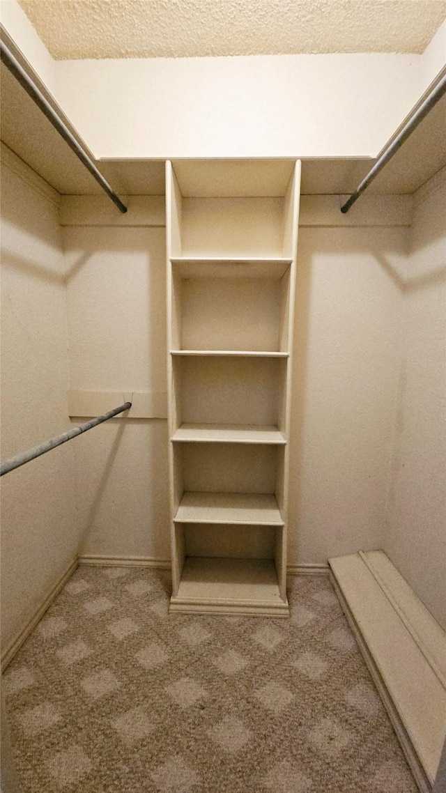 walk in closet with carpet floors