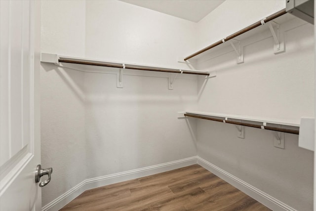 9933 Cottontail Ln, Mckinney, TX 75071 - spacious closet with dark wood finished floors