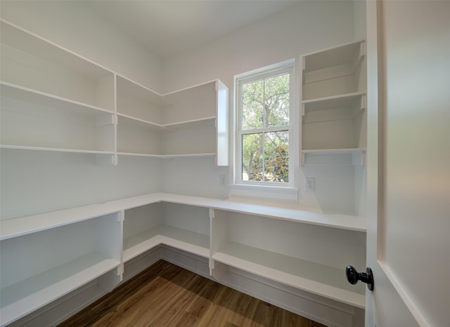 view of pantry