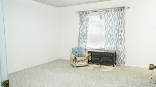 living area featuring baseboards and carpet flooring
