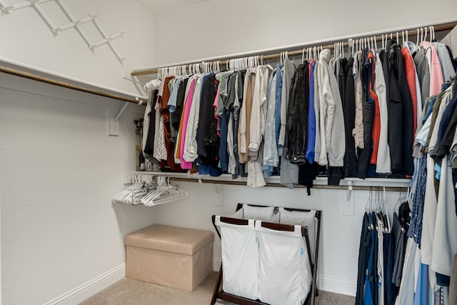 spacious closet featuring carpet flooring