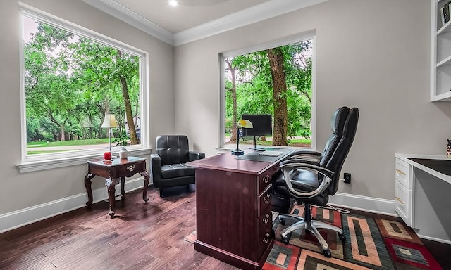 office featuring crown molding, baseboards, plenty of natural light, and dark wood finished floors