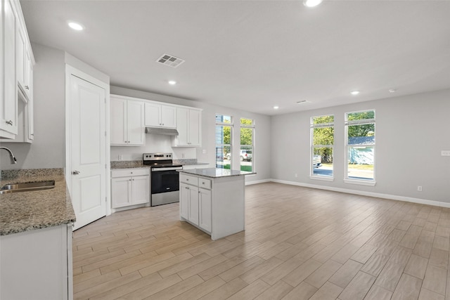 2021 Eva St, Grand Prairie, TX 75051 - kitchen with visible vents, stainless steel range with electric cooktop, a sink, light wood-style floors, and under cabinet range hood