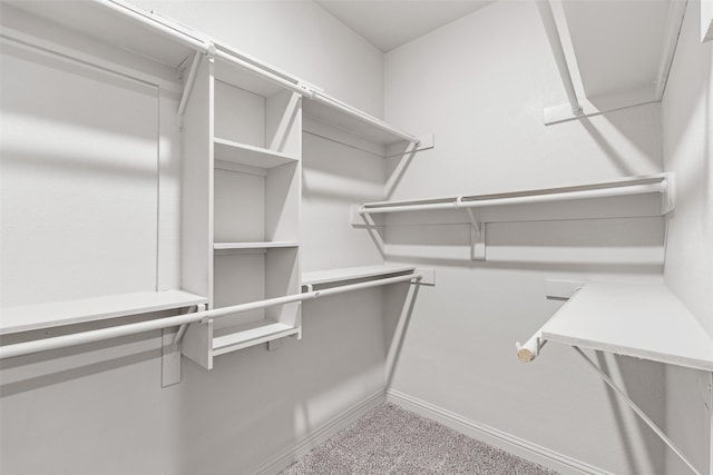 2021 Eva St, Grand Prairie, TX 75051 - walk in closet featuring carpet