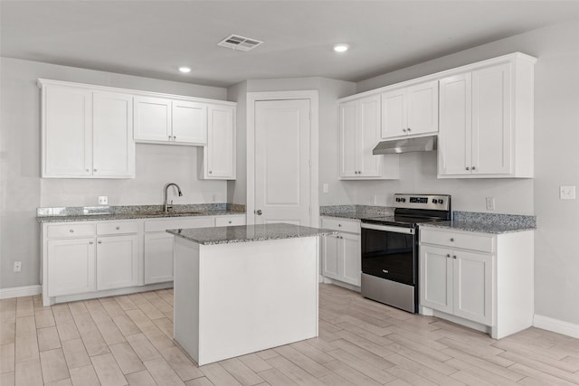 2021 Eva St, Grand Prairie, TX 75051 - kitchen with stainless steel range with electric cooktop, a sink, light wood finished floors, under cabinet range hood, and visible vents