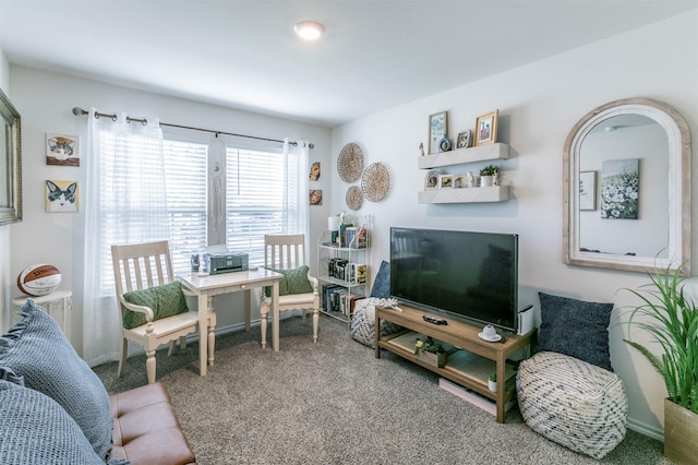 view of carpeted living area