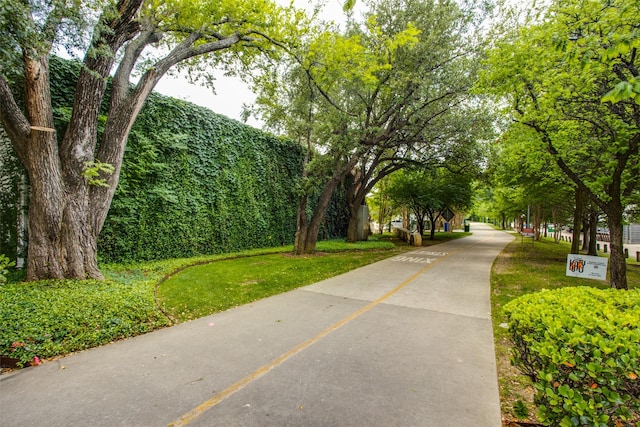 view of community featuring a lawn