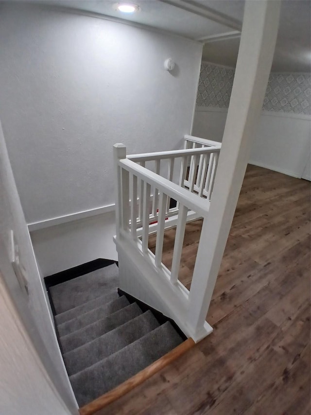 stairs featuring wood finished floors