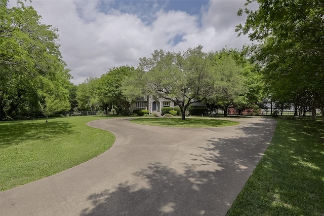 surrounding community featuring a yard and curved driveway