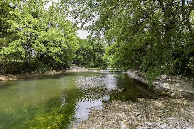 water view with a view of trees