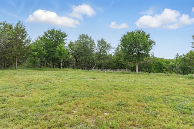 view of yard featuring a view of trees