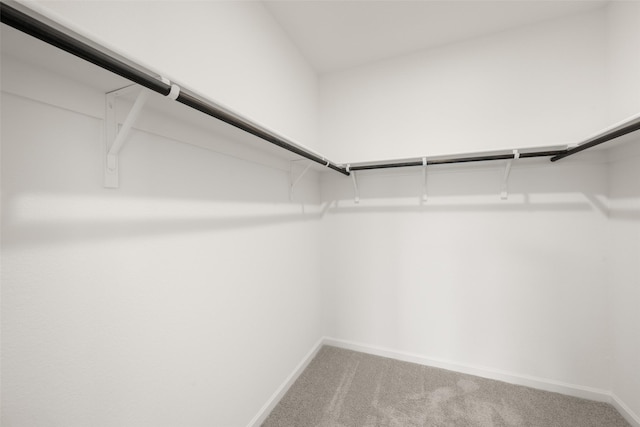 4936 Bass Dr, Fort Worth, TX 76179 - walk in closet with light colored carpet