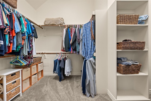 walk in closet featuring carpet floors