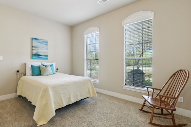 5403 Englenook Dr, Parker, TX 75002 - carpeted bedroom with baseboards, multiple windows, and visible vents