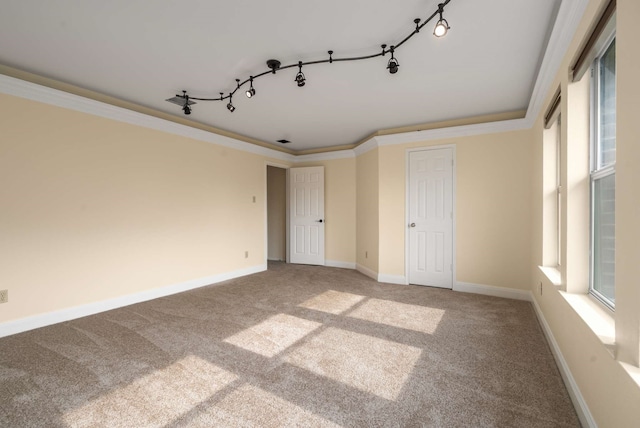 unfurnished bedroom featuring track lighting, ornamental molding, and carpet floors