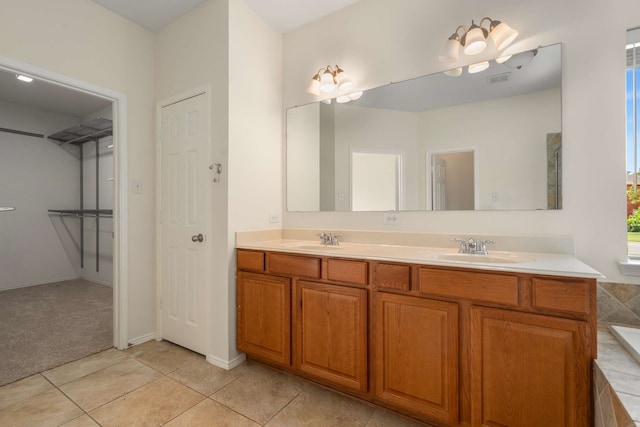 bathroom with a sink, double vanity, and a wealth of natural light