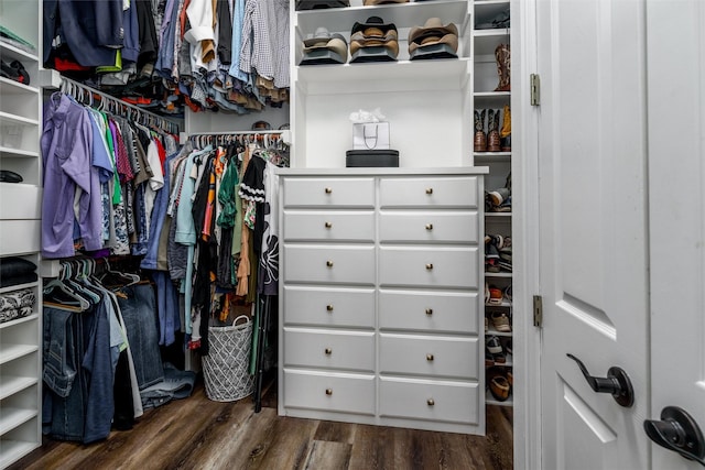 walk in closet with dark wood finished floors