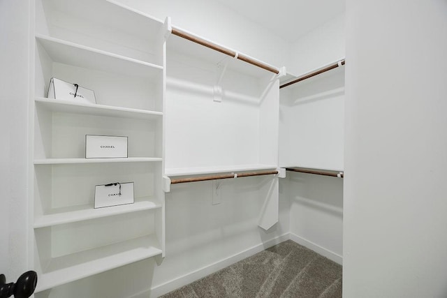3600 Howard St, Fort Worth, TX 76119 - walk in closet with carpet floors