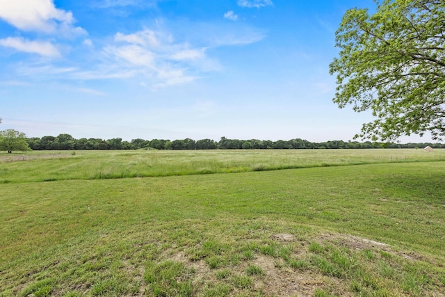 view of yard featuring a rural view