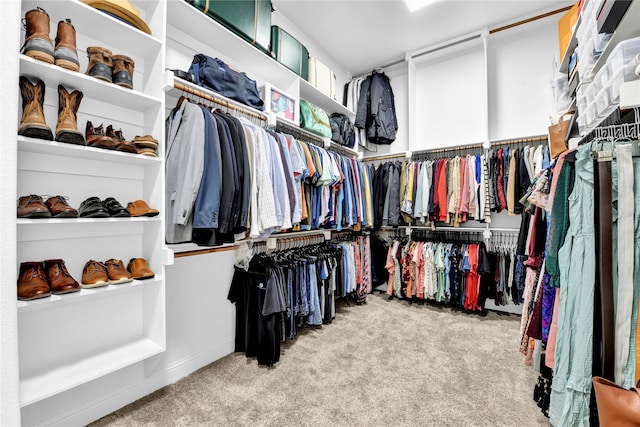 spacious closet with carpet