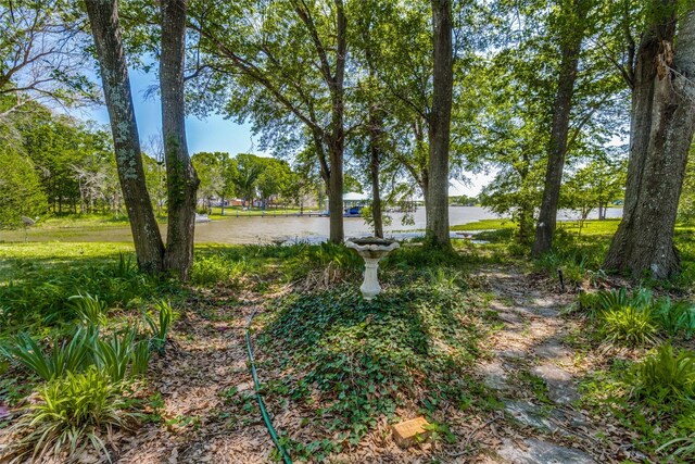 2400 N Shore Dr, Bonham, TX 75418 - view of yard with a water view