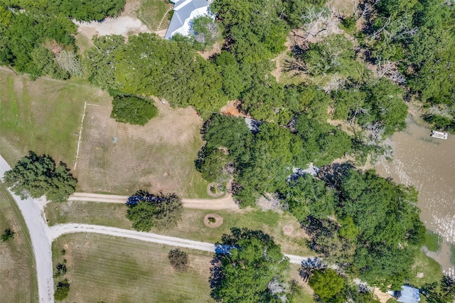 2400 N Shore Dr, Bonham, TX 75418 - birds eye view of property