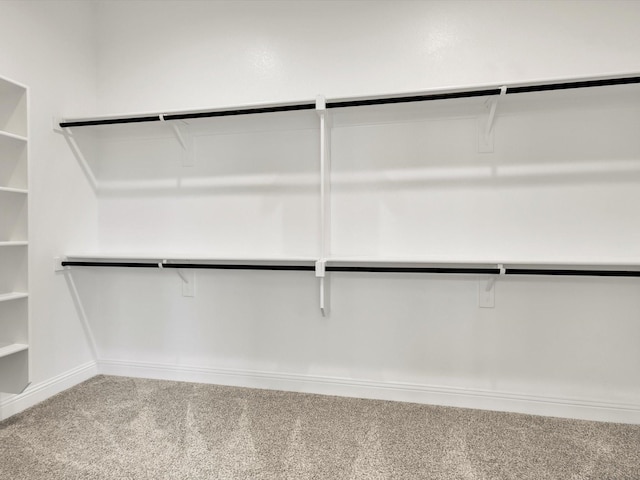 walk in closet featuring carpet